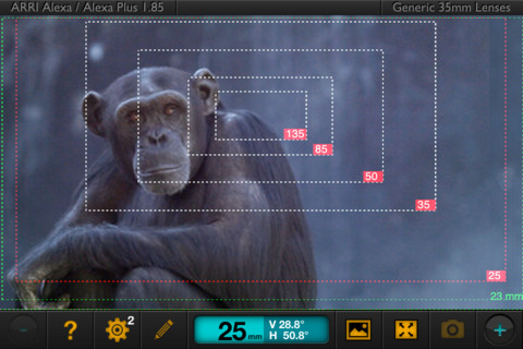 A chimpanzee returns to sit in front of a remote screen.