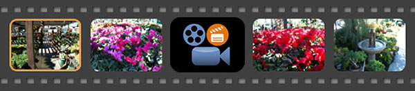 A filmstrip-style layout featuring two images of flowers, a camera reel icon, an iPhone, and a fountain.